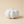 Decorative Luna Pumpkin Jar Lunarie Alba