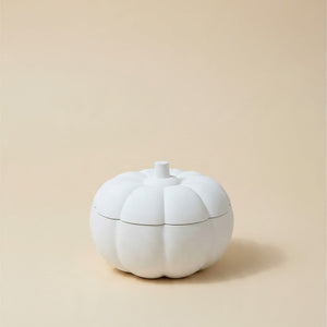 Decorative Luna Pumpkin cement Jar Lunarie alba small