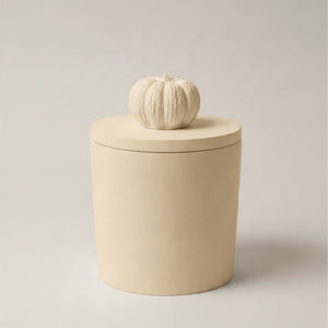 Decorative Cement jar with small pumpkin on top , on a light grey  background 