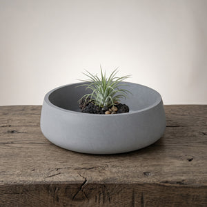Orbit Bowl by Lunarie featuring a minimalist rounded design and matte finish, ideal as a decorative catchall bowl for jewelry and modern home décor. with air plant on a wooden surface