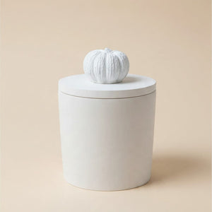 Decorative Cement jar with small pumpkin on top , on a beige background 